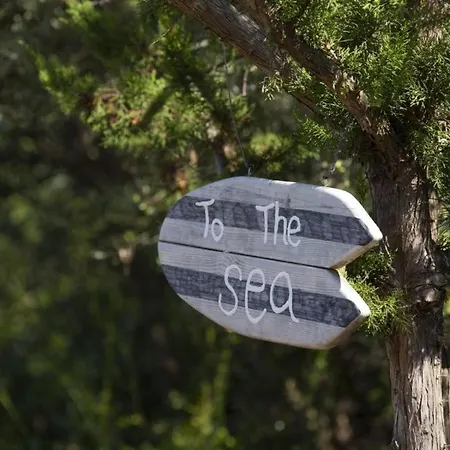 Del Mar Up To 10 Guests Amuso Bay