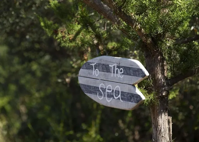 Del Mar Up To 10 Guests Amuso Bay