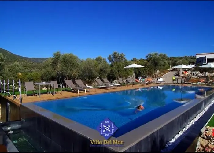 Del Mar Up To 10 Guests Amuso Bay Villa *