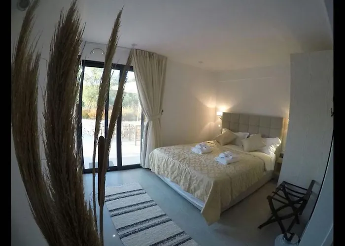 Del Mar Up To 10 Guests Amuso Bay